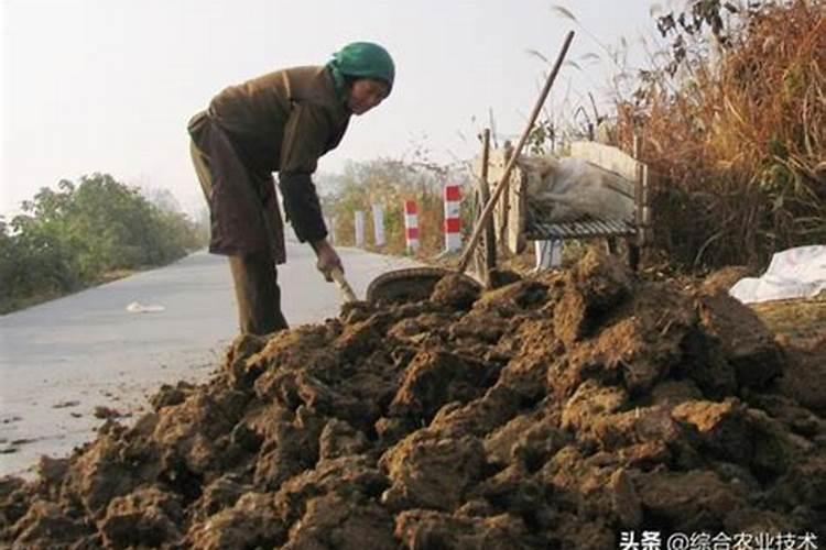 为什么粪便是很好的肥料呢？