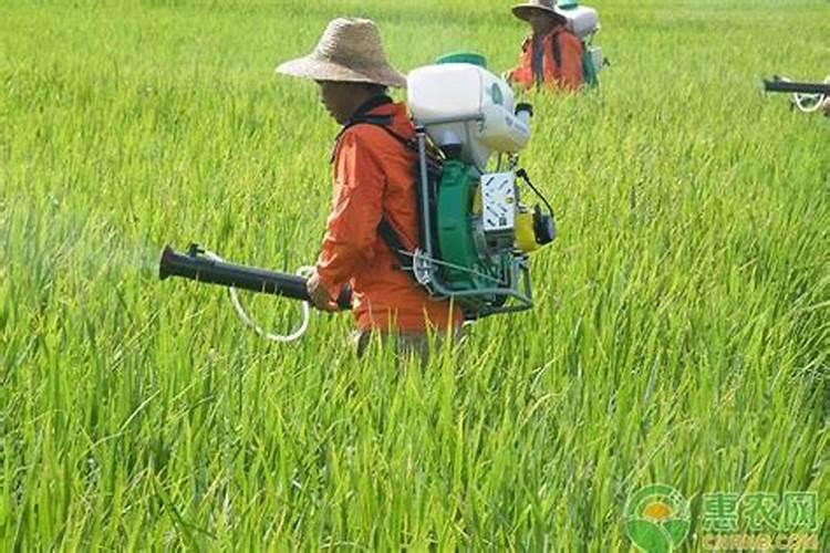 上海金美盛肥料科技有限公司怎么样？