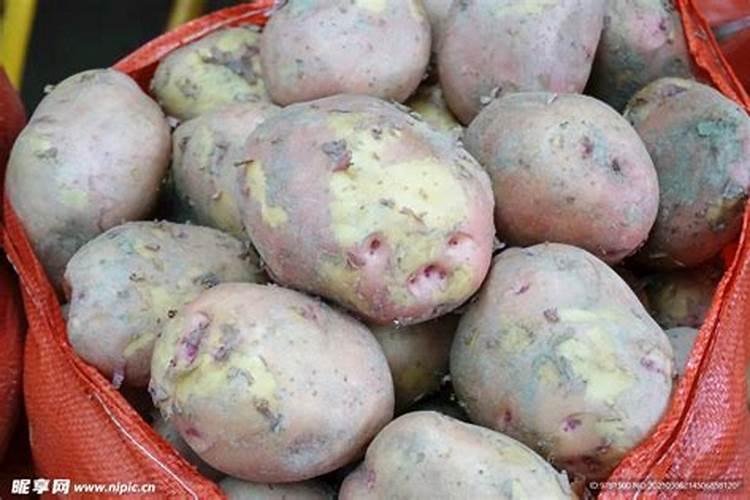 洋芋追肥用什么肥料好 注意事项有哪些