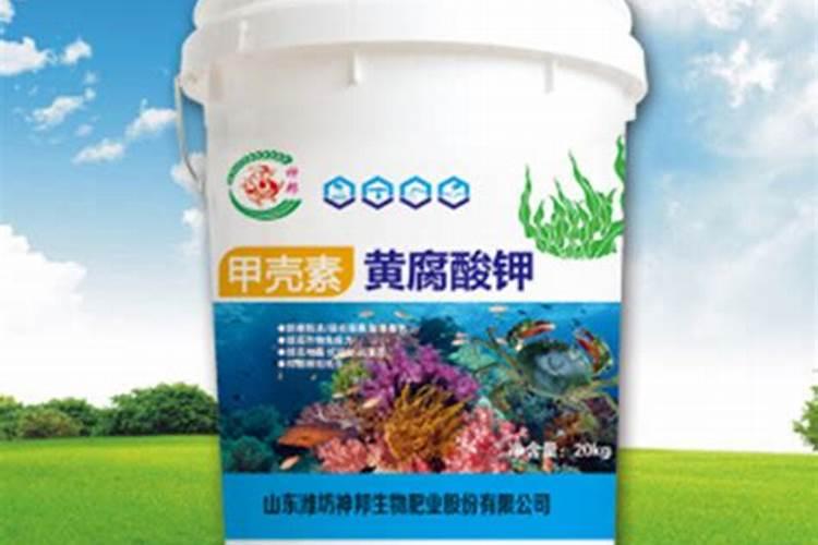 大面积深水养殖大闸蟹怎么养
