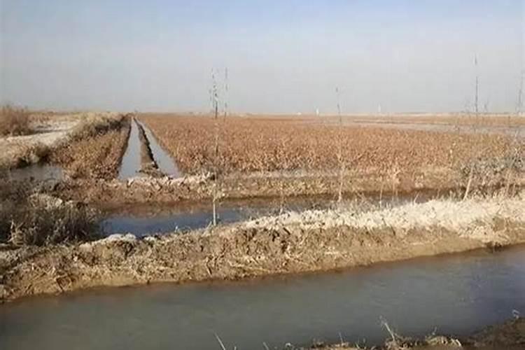 盐碱地用什么样的化肥最好？