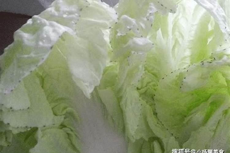 大白菜呈现出黑点是怎么个道理,还能不能拿来吃呢？