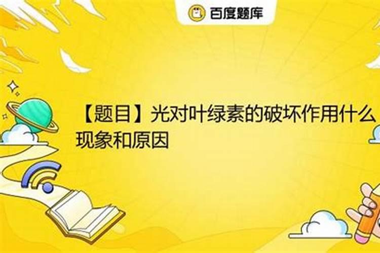 解药害哪种叶面肥最好