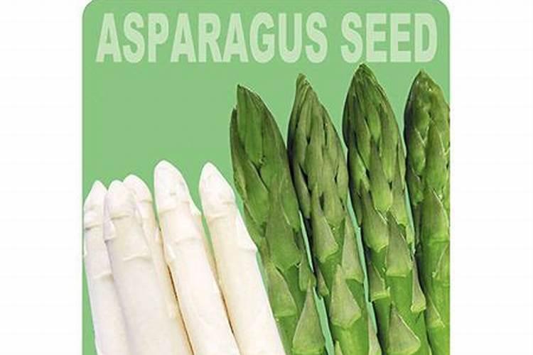芒果有怎样的安全施肥技术？