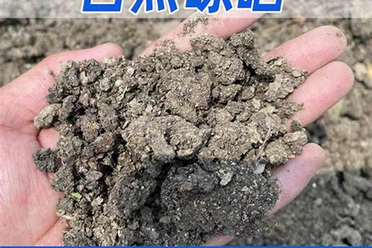 什么粪含钾肥最多