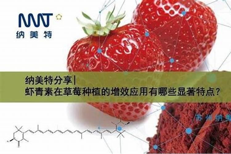 在草莓开花结果多次用磷酸二氢钾可以吗