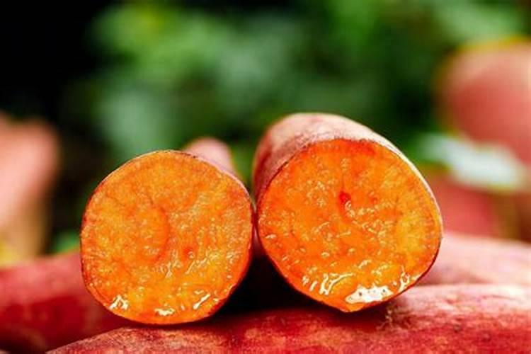 红薯苗应该如何栽种施肥才能产量高呢？