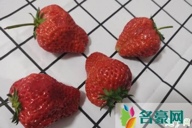 人尿和淘米水哪个肥浇草莓苗  鸡粪给草莓的施肥方法