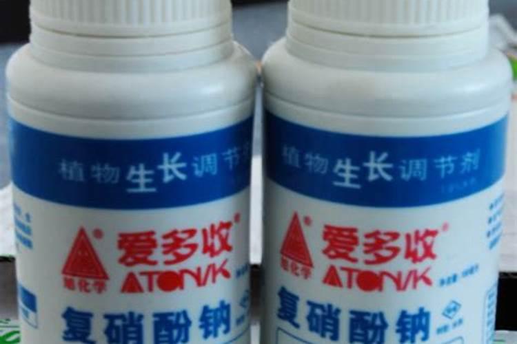 果树开花前打什么药