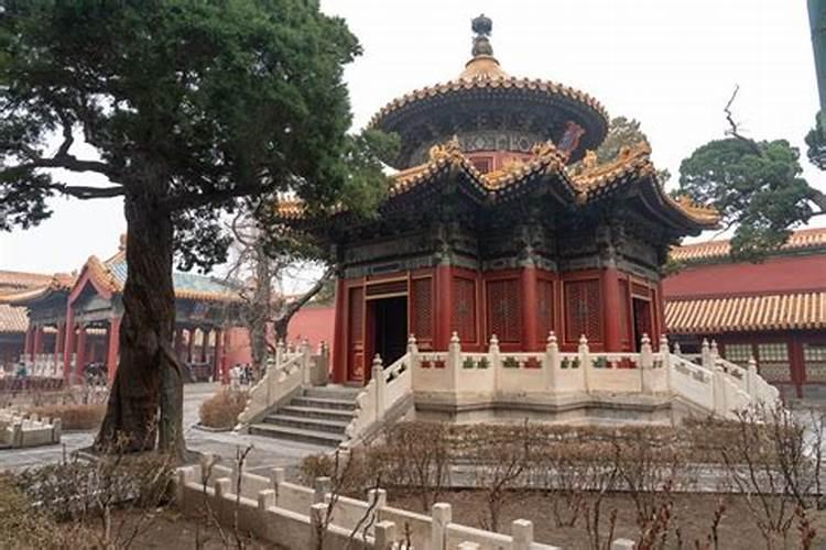 打造梦幻花园,皇家花园少女的甜蜜攻略