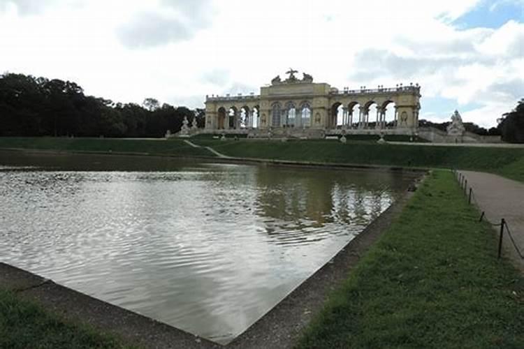 郁金香花能开多长时间？