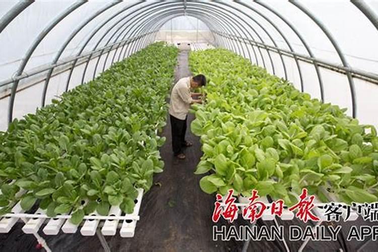 ...化钙这三种该如何选择？有啥好牌子及大概价格多少？