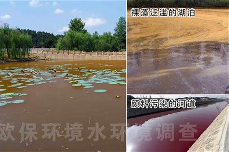 怎样消除鱼塘的铁锈水