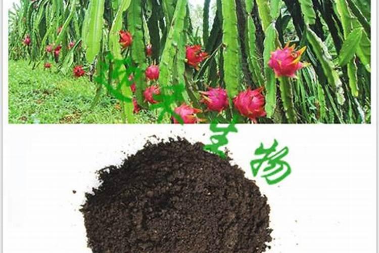为什么同一颗蓝宝石晃动后变色了？
