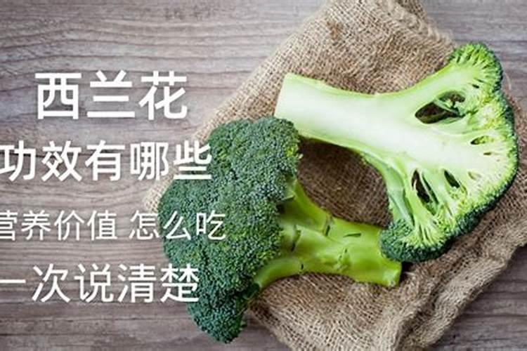 兰草促花的最佳方法(施什么肥促根促芽又促进兰花开花)