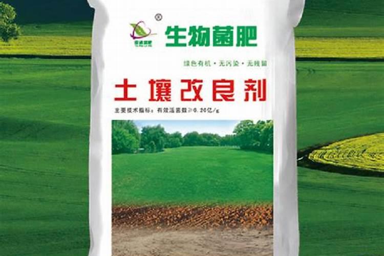 玉米施什么肥料好？
