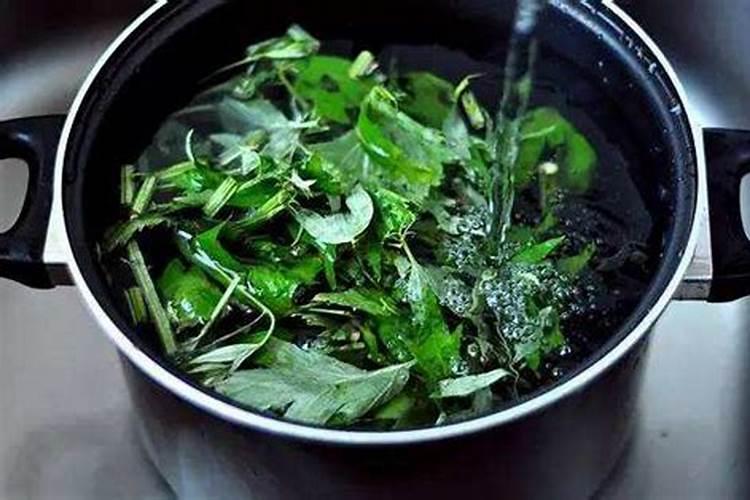 艾草种植方法 钾元素的肥料