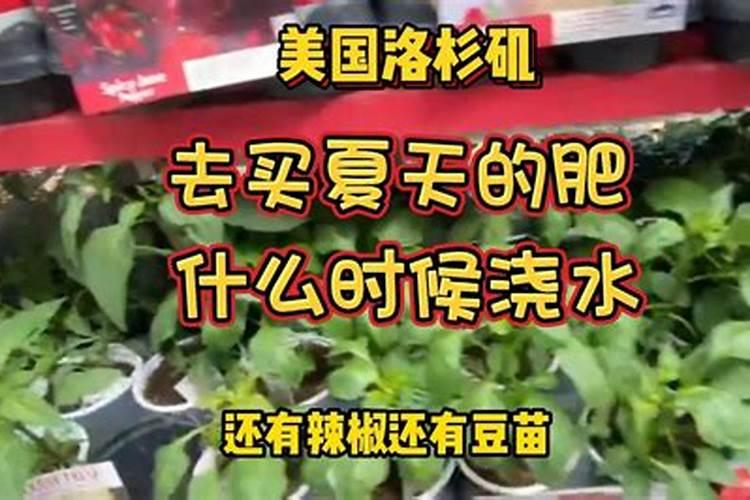 滴灌施用水溶肥时怎样才能起到最好的效果