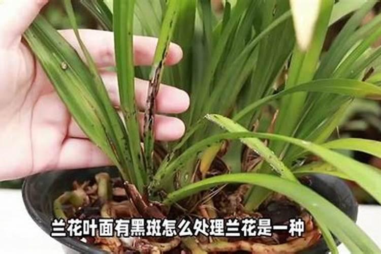 宝宝微量元素的检查费