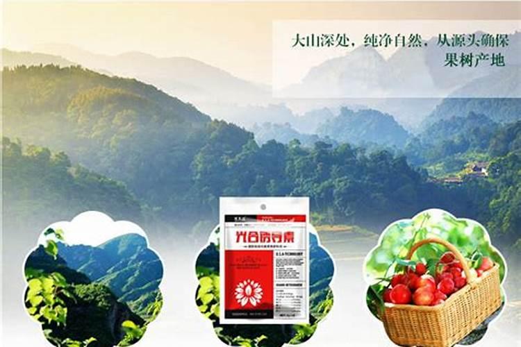 西瓜怎么判断是否坏了