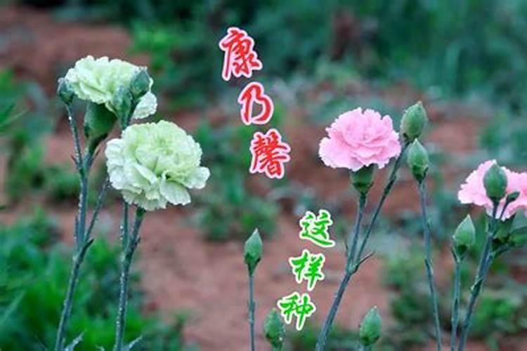 化肥用哪家的好？⊙▽⊙