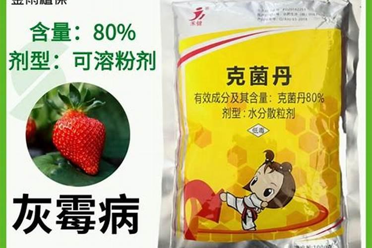 草莓生根壮苗的水溶肥有几种？