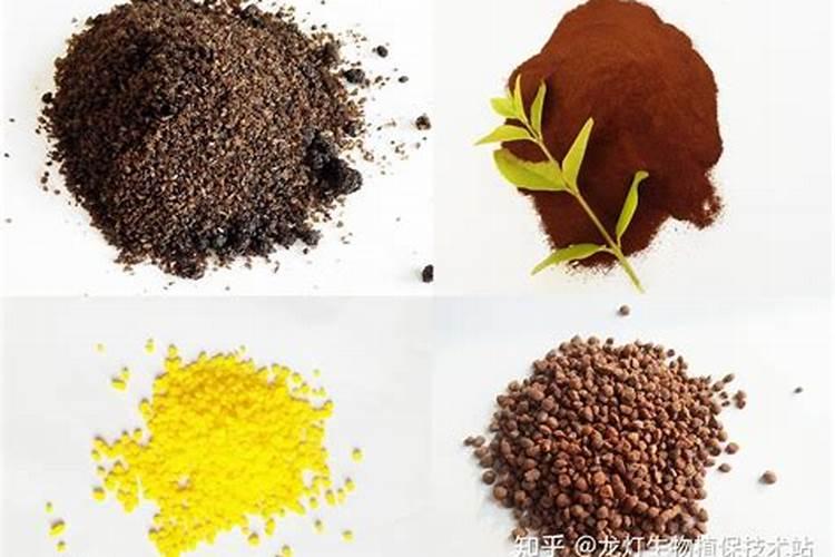 茄子缺镁怎么办？