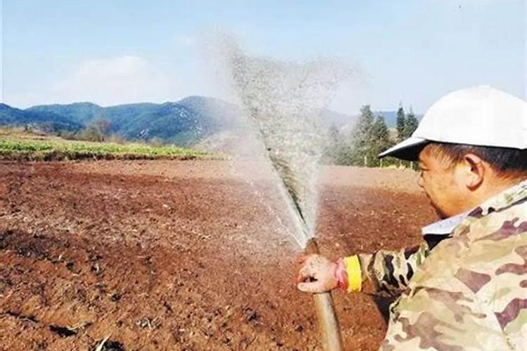 国内比较好水溶肥厂家有哪些