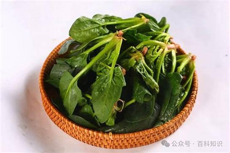 菠菜生长缓慢能打芸苔素吗