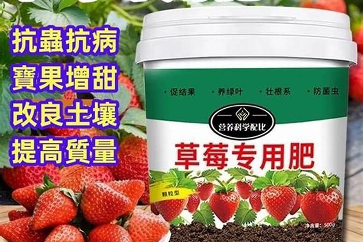 草莓苗期旺长用矮壮素,烯效唑,多效唑好么？