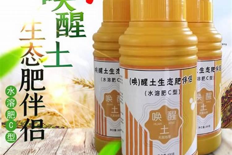 阳台盆栽草莓,土壤还湿的,可以浇水溶肥吗,还是要等下次浇水时再选择不...