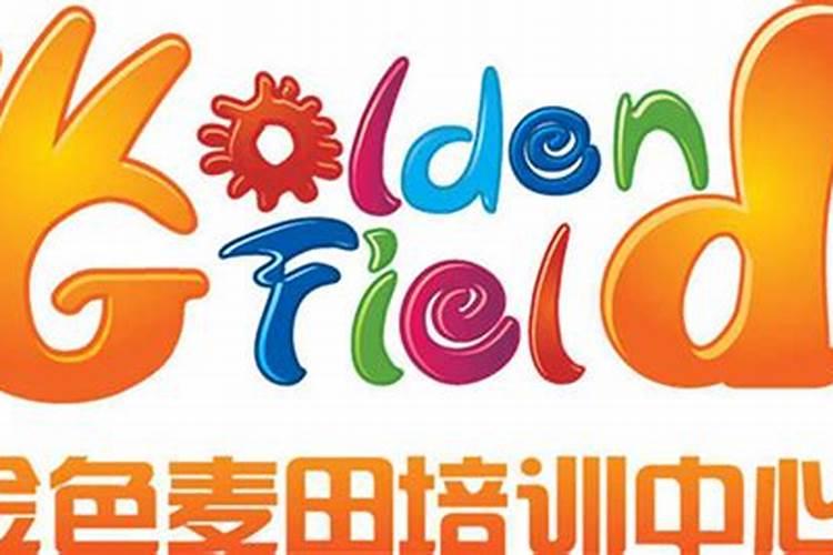 如何用金宝贝一型发酵助剂制作氨基酸叶面肥？