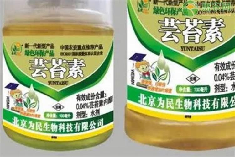芸苔素和什么叶面肥混用在苗床上比较好？