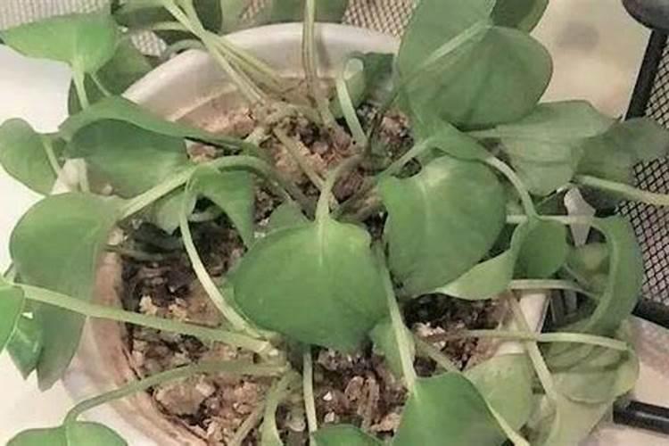 防火玻璃大约几多钱一平方