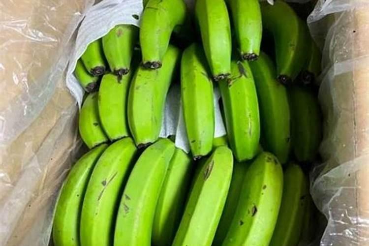 香蕉树用什么肥料最好