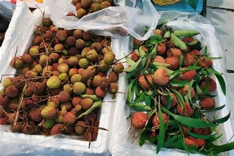 大量元素水溶肥的价格排名,哪个品牌最好？