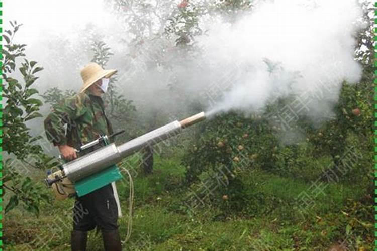 种植桃树的时候,哪些情况下需要喷洒叶面肥？