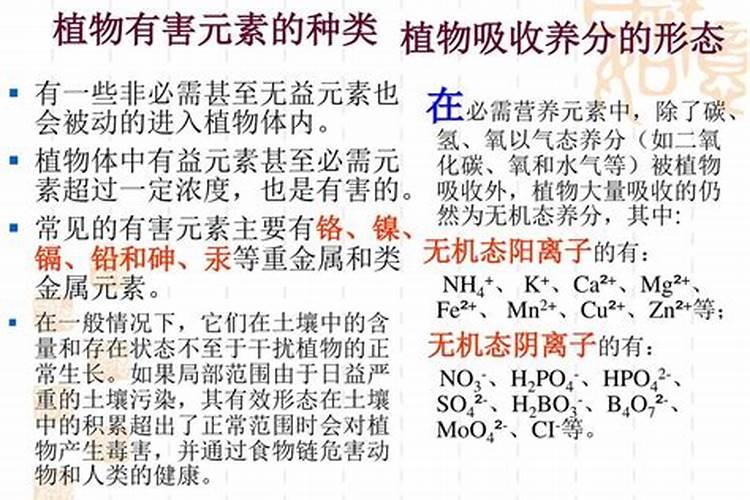 植物矿质代谢植物的必需元素分类