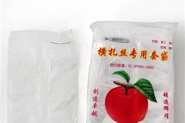 桑树的修剪方法和用途