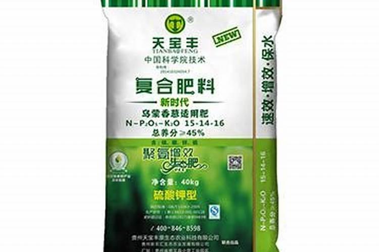 大葱的定植与田间管理如何掌握？