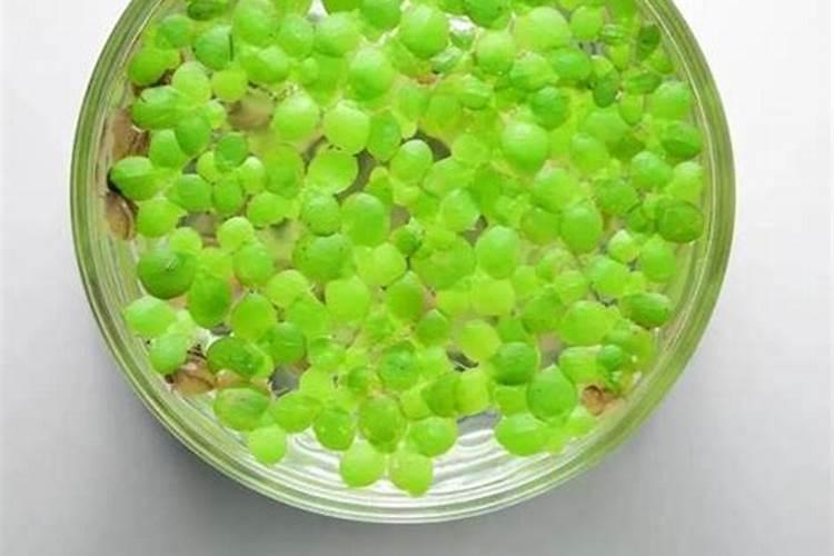 氮磷钾肥有哪些,氮磷钾肥怎么施