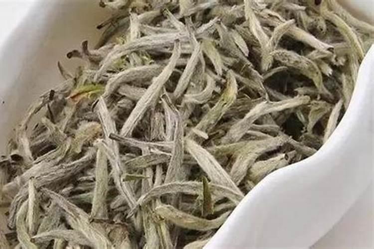 白茶什么时施肥最佳？