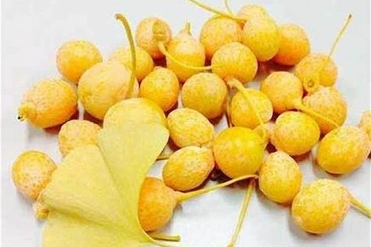 银杏树种植用什么肥料