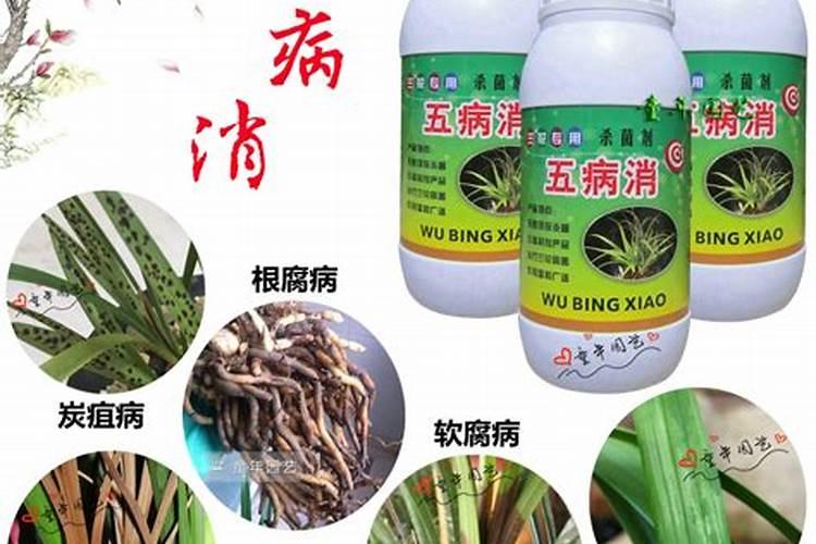 果树为什么不能用含氯的化肥