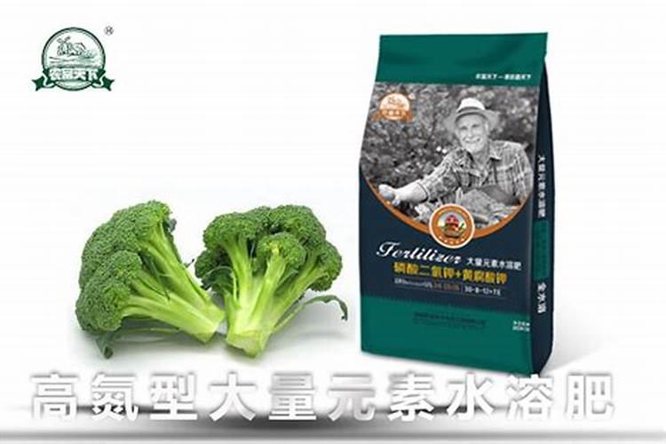 最好的兰花肥专用肥哪种最好