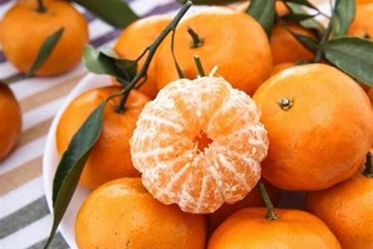 扬州玉米粒在哪里批发？
