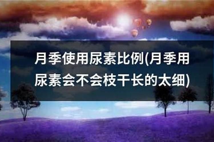 尿素可以浇月季花吗