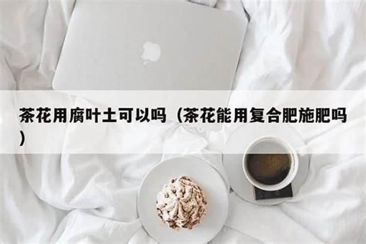 北方茶花怎么施肥