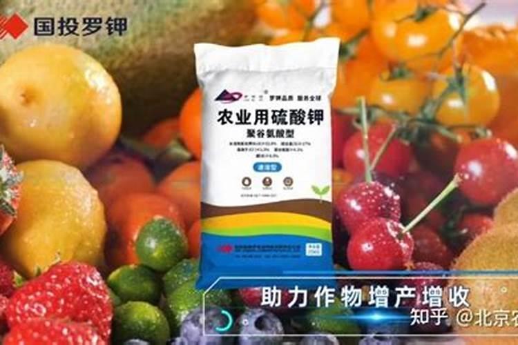 辣椒能不能施硫酸钾？