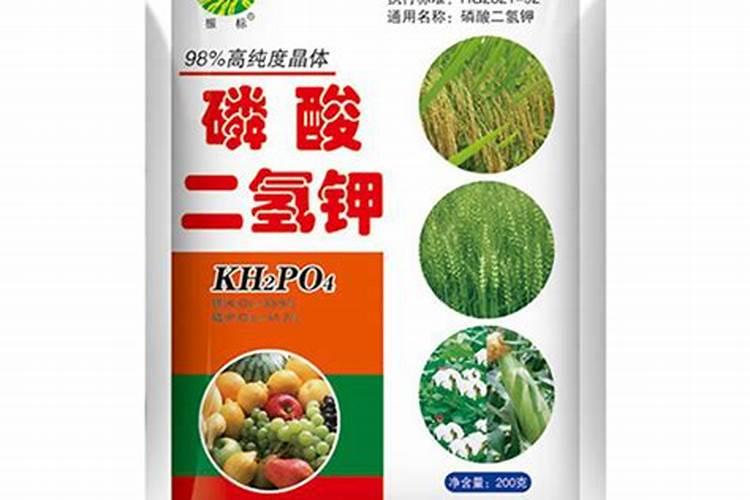 兰花专用肥有哪些